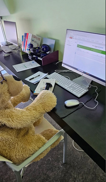 Nanook était à Morez la semaine dernière !